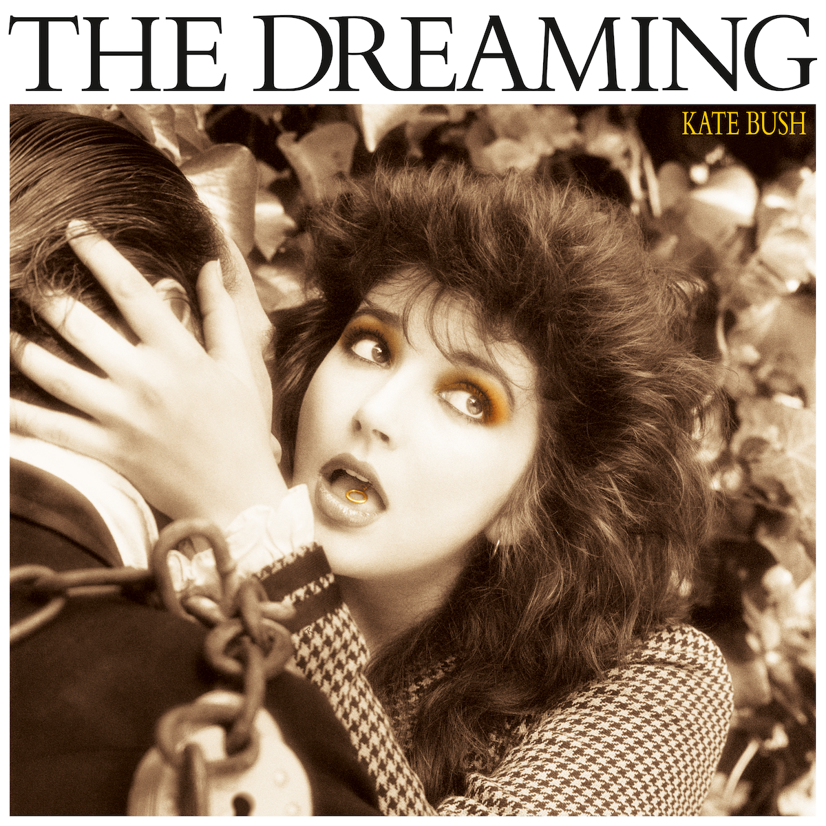 Kate Bush – theSDEshop.com