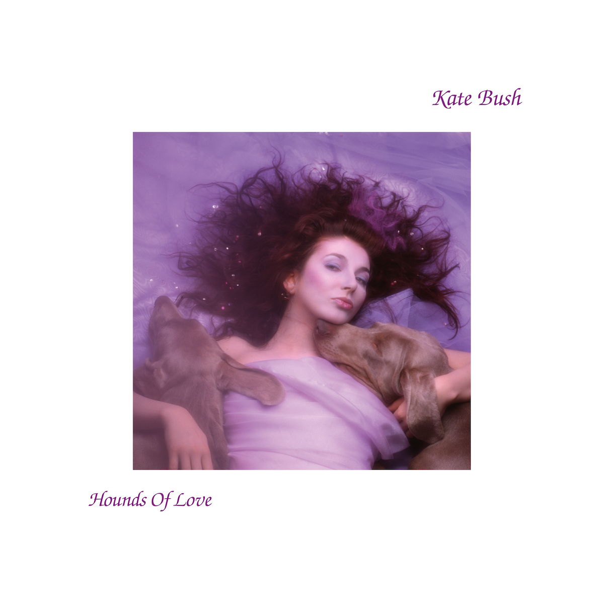 Kate Bush / Hounds of Love coloured vinyl LP