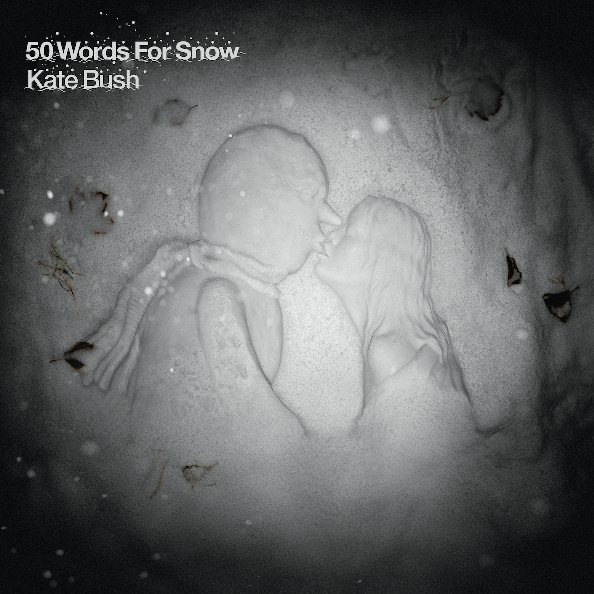 Kate Bush / 50 Words For Snow coloured vinyl LP