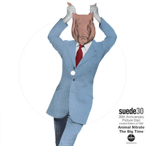 Suede / Animal Nitrate 30th anniversary seven-inch picture disc