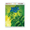 Yes / Fly From Here – Return Trip blu-ray audio