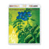 Yes / Fly From Here – Return Trip blu-ray audio