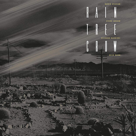Rain Tree Crow / 180g black vinyl LP reissue