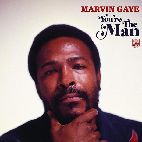 Marvin Gaye / You're The Man 2LP vinyl